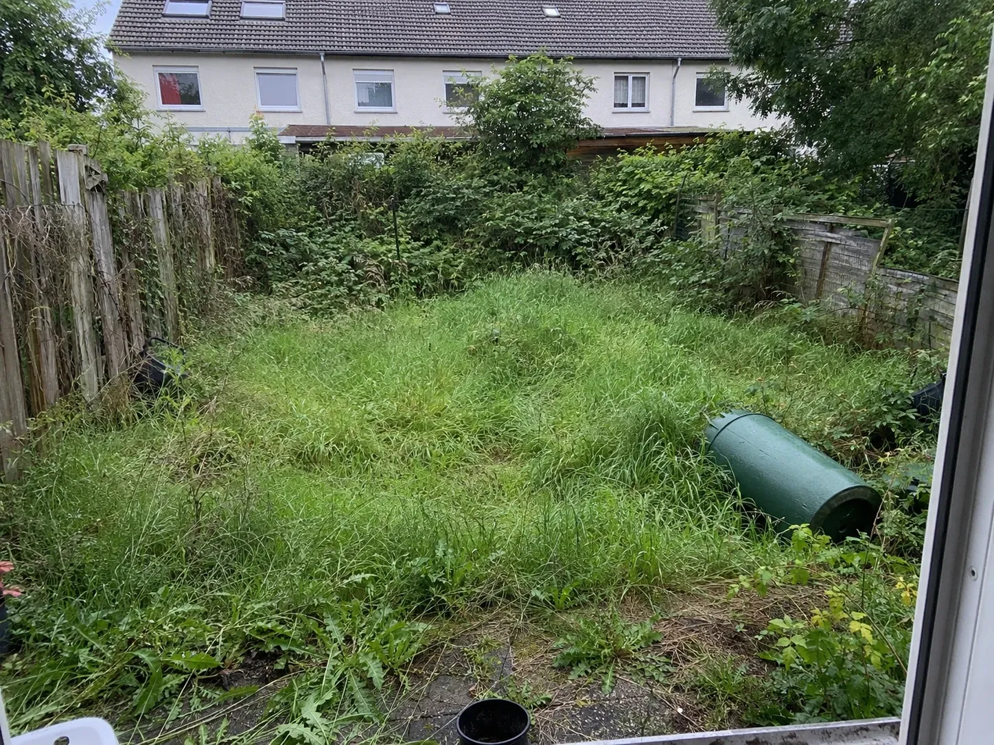 Verwilderter Reihenhausgarten mit hohem Gras und Wildwuchs vor der Neuanlage im Hamburger Norden
